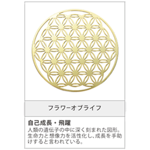 詳細はこちら
